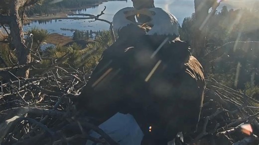 1.15 一条鱼引发的家庭冲突！对抗路夫妻上线😀