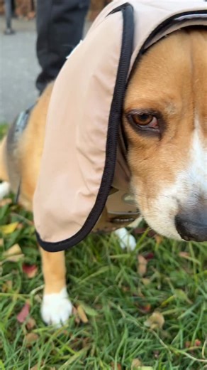 219K views · 6.9K reactions | LAUNCHING THIS WEEK. DON’T MISS OUT...