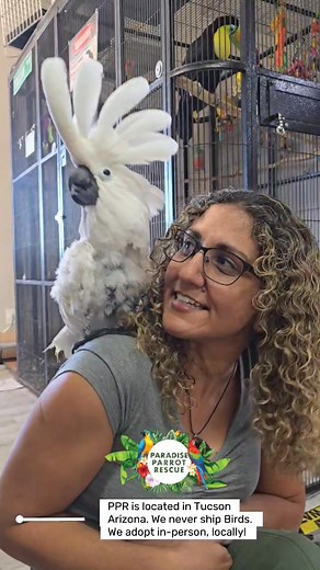 Another AMAZING Adoption! If you are considering adopting, call us! 520-288-6310 | Paradise Parrot Rescue