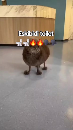 Skibidi Toilet: Day 50 of Brainrot