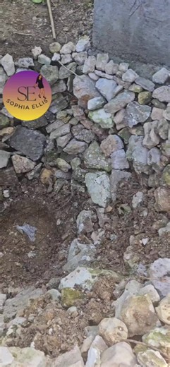 Shawn and Karen (@francinejohnson11)’s videos with original sound - Shawn and Karen