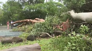 Cyclone Alfred downgraded as millions of Australians stay indoors