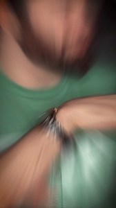 80K views · 1K reactions | The Origins of Oddish #pokemon #pokemoncommunity #gametheory #gameboy #bulbasaur | Wentworth Bros | Facebook