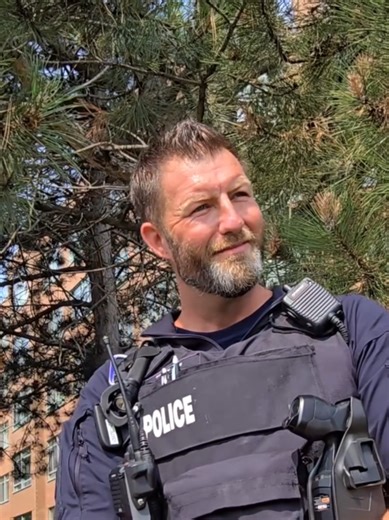 Public Audits of Police Officers in the United States