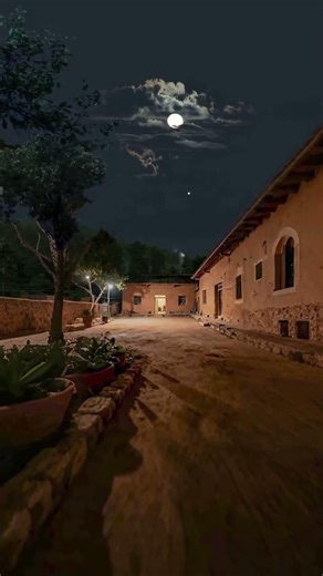 Silent Nights in Nature 🌙 Beautiful Night Scenery