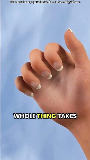 Trigger finger release surgery (3D animation)