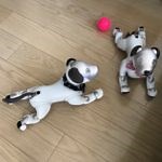 性格ごとに違うふるまい『ハイポーズ』４種の動画付き | aiboの飼い方　aiboななとはちとくう