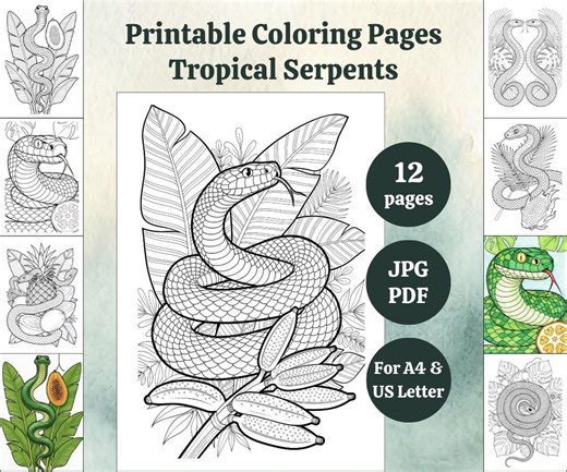 Coloring Printable Pages - Tropical Serpents - 12 Pages - Snake Coloring Book - Adult Coloring Pages - Digital PDF and JPG - Etsy