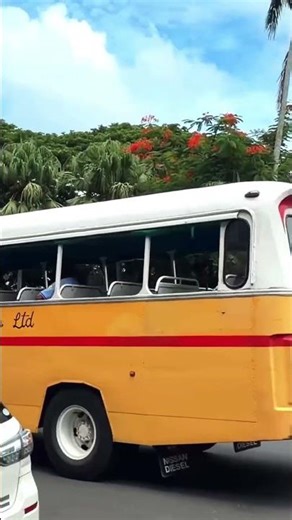 Suva port and streets will blow your mind 🚢🌴 #shorts