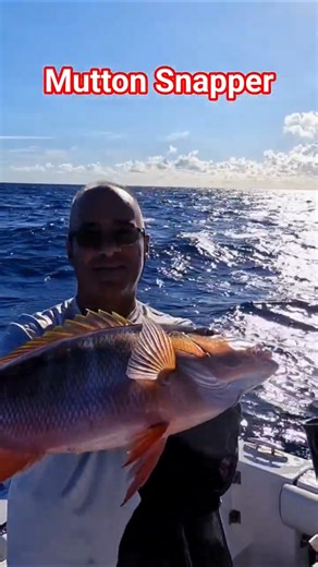 Keeper Mutton Snapper #fishing #saltwaterfishing #floridafishing