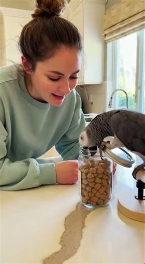 He Learned How to Open Jars... We Are In Trouble 🦜😳