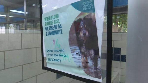 Dogs moved to Houston as flood-displaced dogs take their place in Texas Hill Country shelters