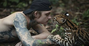 Wildcat: A helpless creature, a traumatised young man, and too many unanswered questions