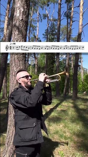 Stop and Enjoy the Sound