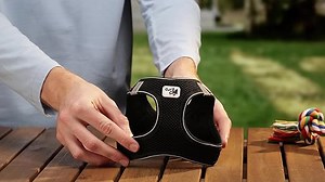 Vest Harness D-Ring Buckle Black M