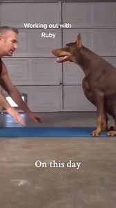 73K views · 4K reactions | #rubytuesday Expectations vs reality  #doberman #dobermann #rubydooby_do #dogsofinstagram #showdogs | Rubydoobydo | Facebook