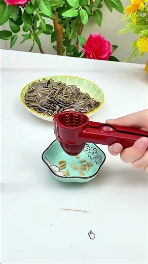 Hand Seed Cracker & Nut Peeler Test! #viral #ytshorts #utilityproducts #seedpeeler