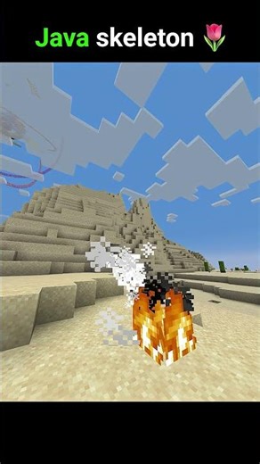 Java Skeleton vs Bedrock Skeleton