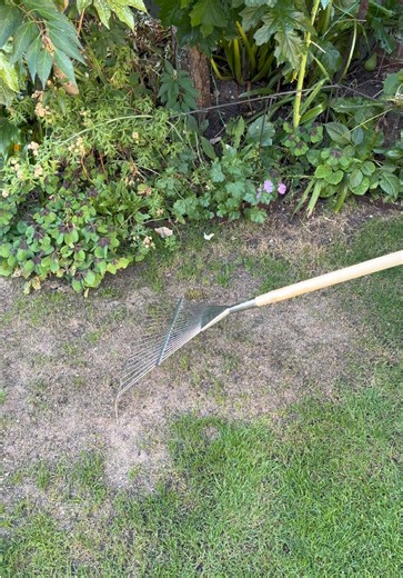 Repair Large Bare Lawn Patch 🌱 Please do watch and listen along 👍 I’ve got a 10% discount promo code GWTLAWN2026 for you at www.bostonseeds.com on lawn seed, moss treatment, fertiliser, mini handheld spreaders and lawn drop spreaders I’ve got a 10% discount promo code GWT10 for you at www.fieldcompost.co.uk @Field Compost Ltd on Field No.5 High Quality Fine Grade Topsoil & Field No.4 Organic Fine Grade Lawn Dressing To buy Everedge Classic Lawn Edging please use my promo code GWT26CLASSIC for 
