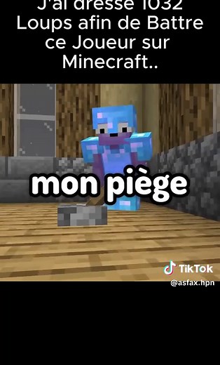 #minecraft #asfax #fypシ゚viral #foru