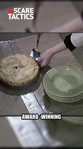 Discover the Scare Tactics Cult Classic Show