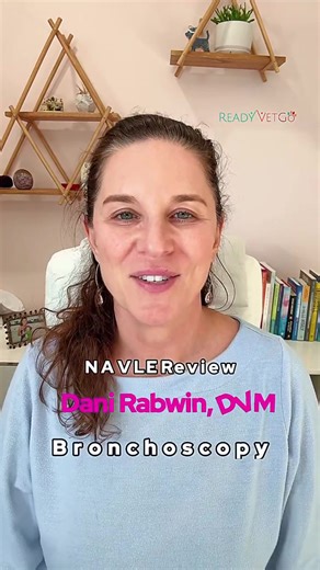 Effective NAVLE Study Strategies for Veterinary Students