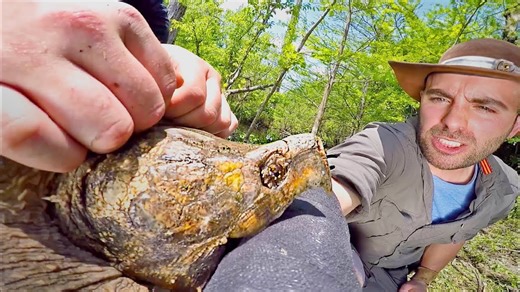 The bite that fascinated scientists worldwide