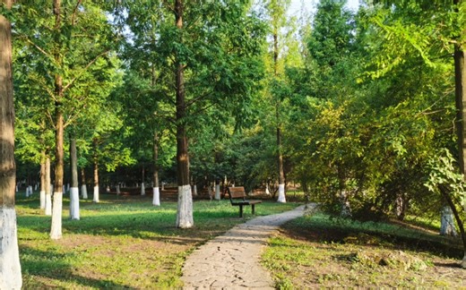 【电子科技大学新生校园攻略】⑤VPN的下载和网上服务大厅的使用