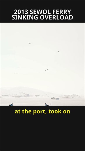Sewol Ferry Tragedy: How Overloaded Cargo Sank 1,172 Students 🚢