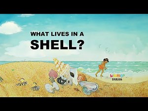 🔔Read aloud for kids📚What lives in a shell by Kathleen Weidner Zoehfeld |AR2.8