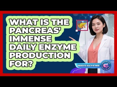 What Is The Pancreas' Immense Daily Enzyme Production For? - Pancreatic Health Network