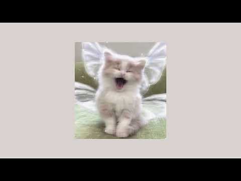 washing machine heart - sped up