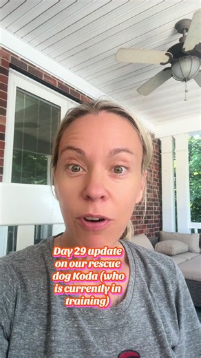 Rescued Dog Koda: Day 29 Training Update with Mecca Canine