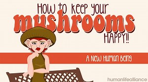 49K views · 915 reactions | Watch this preborn child transform before your eyes. | Human Life Alliance | Facebook