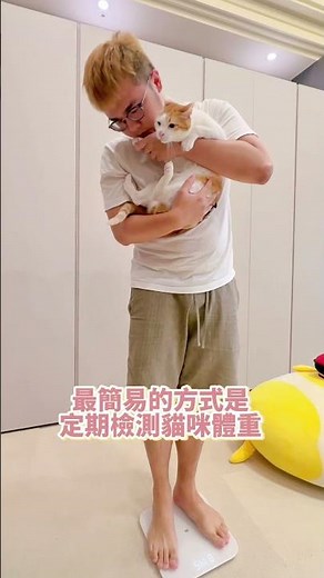 貓咪低血鉀會怎樣？四大症狀可判斷