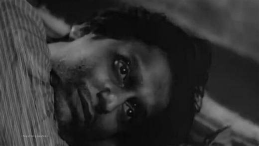 5.6K views · 241 reactions |  | Nostalgia Shop | Facebook