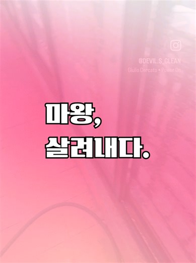 집을 살려내는 이사청소의 모든 것