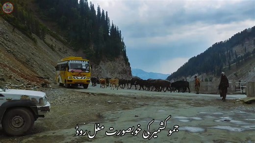 143K views · 8.8K reactions | Armaan judai song 2025  Pahari song Gojri song Gojri pahari viral song Gojri pahari maya | Official.Gojri pahari song | Facebook