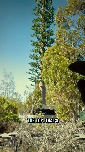 Exploring Hidden Places with Google Earth