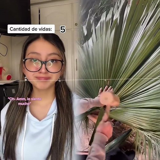 #viral #fy #trend #act #serie