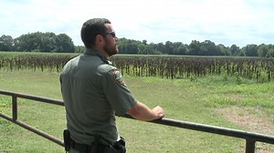 TWRA officers prepare for small game hunting season - WBBJ TV