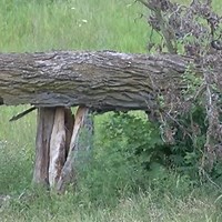 The National Weather Service is assessing tornado damage in southern Wisconsin