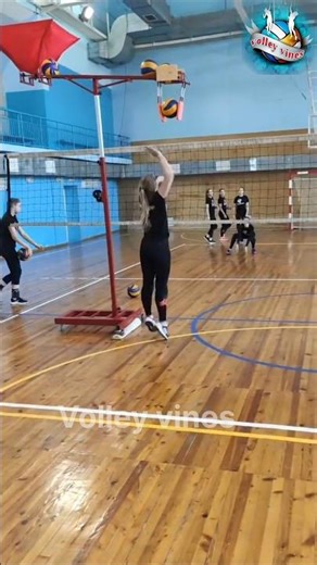 Volleyball Spike training machine #volleyball
