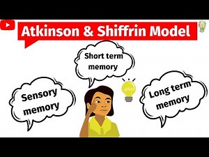 Atkinson and Shiffrin model of memory|Multi store model of memory|Sensory, STM, LTM | Psychology 🧠🧠
