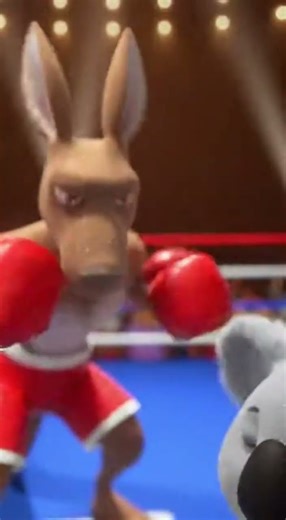 KANGAROO VS KOALA boxing match 🥊🤣 #shorts #animals