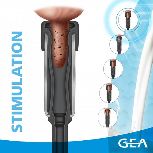 9.8K views · 63 reactions | What’s in a name? Everything. Literally,...