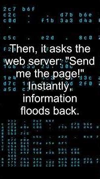 What Happens When You Type a URL in a Browser. #coding #programming #reels #shorts #python