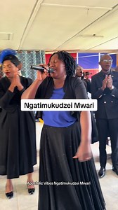 Apostolic Vibes: Ngatimukudzei Mwari Worship