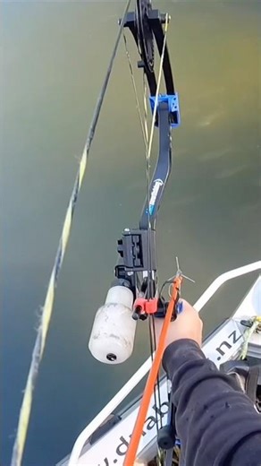 Nice mullet from the Waikato River #adventure #bowandarrow #bowfishing #nz #mullet