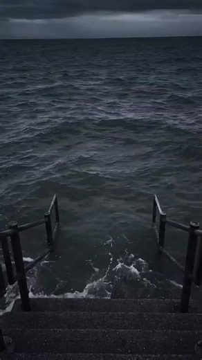 cheems meme trên TikTok